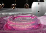 3D打印在生物领域五大应用的现状与未来