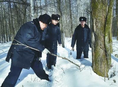 全国森林公安深化改革工作会议召开-中国搜索
