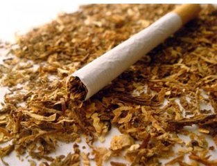 烟草市场萎缩严重 俄罗斯最老烟草厂将关停-中