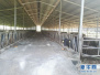 驻马店市正阳县开展畜禽养殖场专项整治行动