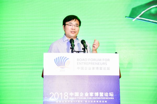 湖南浔龙河投资控股有限公司董事长柳中辉