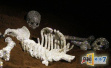 玛雅水晶头颅谜团被揭开，不是3600年前玛雅遗物