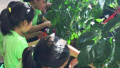 吉林省孤儿学校178名小植树志愿者种下爱心树