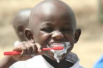 儿童乳牙龋齿率高，多是刷牙方法错了！
