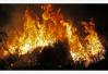 加州“最具破坏性”山火已致44人死亡