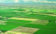 河南划定永久基本农田10227万亩　夯实粮食生产基础